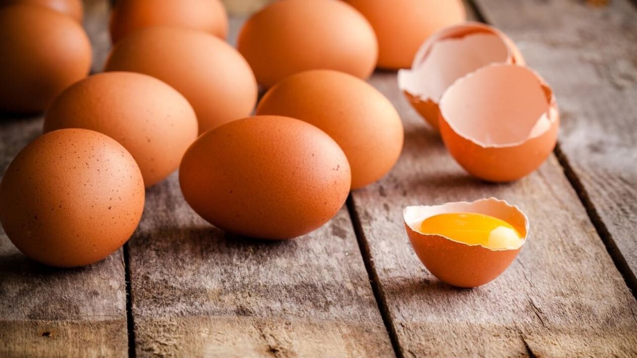 적절한 영양을 위한 닭고기 달걀